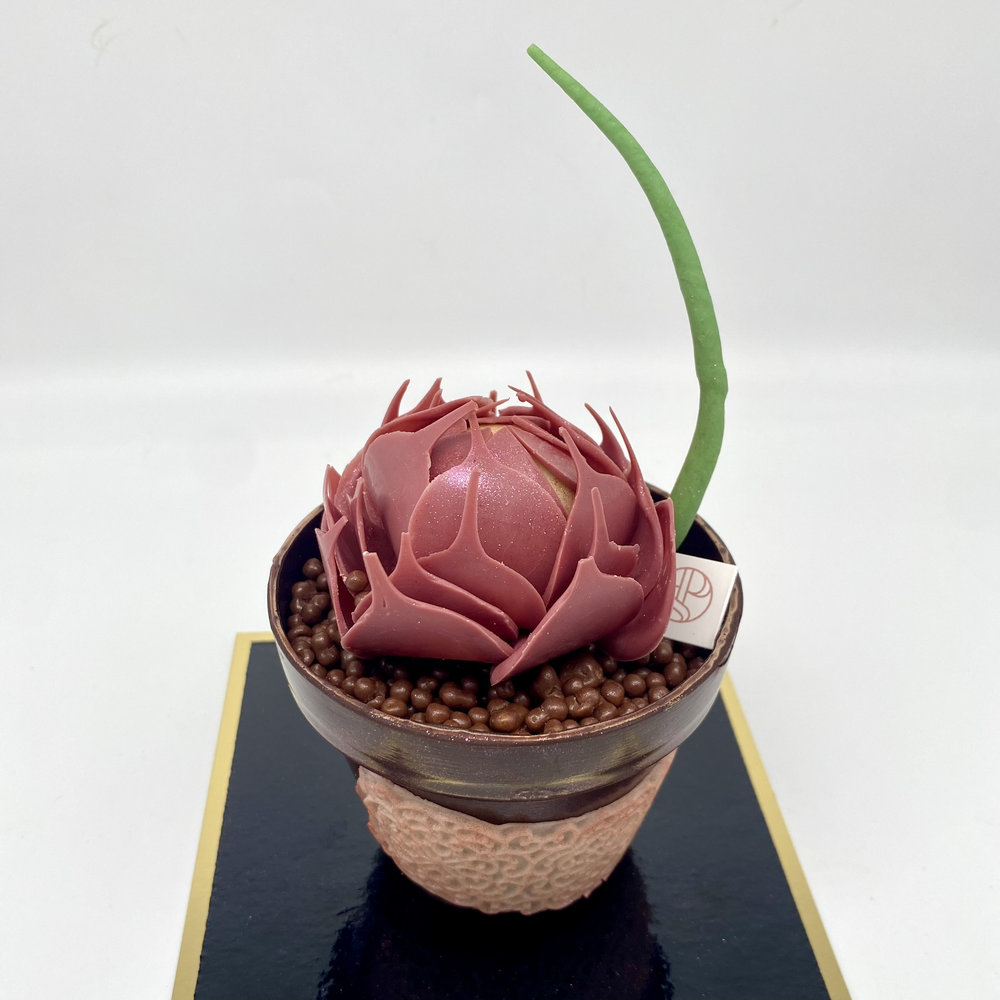 Pivoine en chocolat